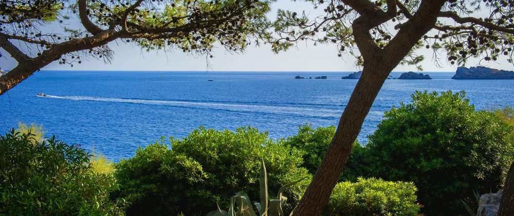 Royal Palm Hotel Dubrovnik Exterior photo View of the sea from the garden of the villa
